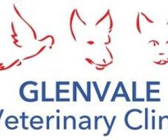 Glenvale Veterinary Clinic