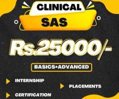 Clinical SAS training with free placements and internship certification-karimnagar