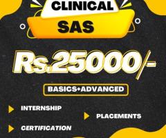 Clinical SAS training along with free placements and internship certification -medak