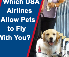 United Airlines Pet Reservations | Flyofinder