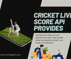 cricket live score api provides | Live Cricket API Integrate