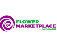 Order wholesale flowers online from wholesale florist- Flower Marketplace