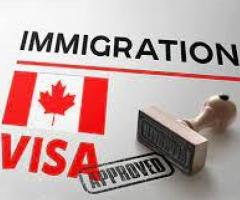 United World Immigration: Comprehensive Visa and Immigration Services in Surrey - Image 2