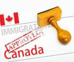 United World Immigration: Comprehensive Visa and Immigration Services in Surrey - Image 3