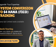 Join our immersive System Conversion to SAP S4 HANA (FICO) training program