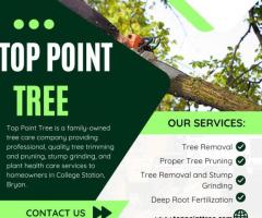 Tree pruning services in college station