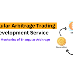 Fire Bee Techno Services: Pioneering Innovation in Triangular Arbitrage Bot Development