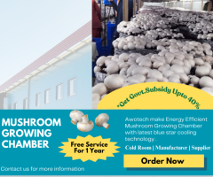 Mushroom Growing Cold Storage Manufacturers - Awotech