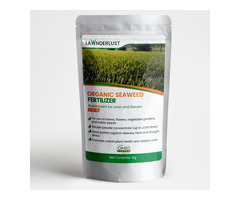 Lawnderlust Fertilizing Your Lawn Naturally with Seaweed - Image 2