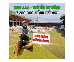 Buy Star 444 Mung Dal Seeds Online in India - Star Agri Seeds