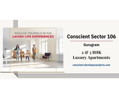 Conscient Sector 106 Gurugram - Step Into Contemporary Bliss - Image 3