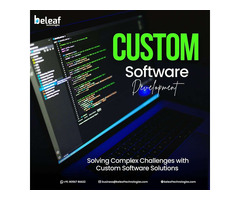 Achieve your business goal with custom software development