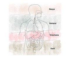 Panchakarma treatment for weight loss - Image 4