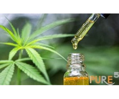 Unlock Premium Quality with Extraction Equipment for CBD THC