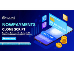 NOWPayments Clone Script: Build a Crypto Payment Platform!