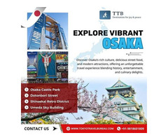 Best Japan Cherry Blossom Tour Packages – A Springtime Wonderland! ????