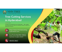 Tree Cutting Services in Hyderabad