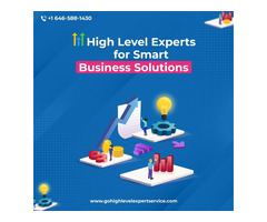 Go High Level Experts For Smart Business Solutions