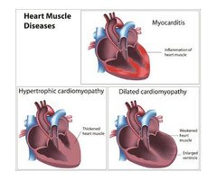 Harispandan Heart Care Clinic in Lucknow