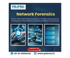 Network Forensics