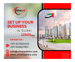 Mainland & Free Zone Business Setup in UAE