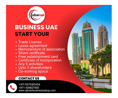 Mainland & Free Zone Business Setup in UAE - Image 2