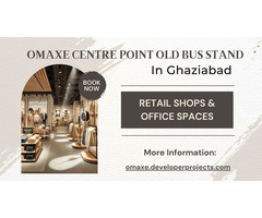 Omaxe Centre Point Ghaziabad: Target Audience - Image 2