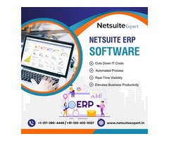 Accelerate Growth with NetSuite ERP Software