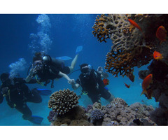 Scuba Diving At Grande Island: Dive into Thrills with Sea Water Sports - Image 2