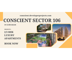 Conscient Sector 106: An Address of Distinction - Image 2