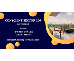 Conscient Sector 106: An Address of Distinction - Image 3