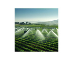 Efficient Irrigation Solutions – Custom Design & Expert Consulting!