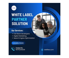 Best White Label Partner Solutions | Boost Revenue in 2025