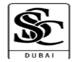 SCS: Luxury Chauffeur & VIP Transfer in Dubai, UAE