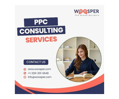 PPC Consulting Services USA