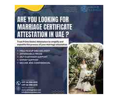 100+ countries degree certificate attestation services in the UAE