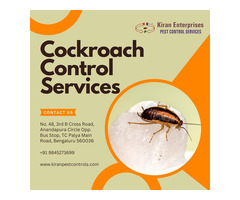 Cockroach Control Services in Jaya Nagar | Safe & Trusted