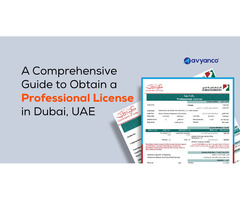 Professional License in Dubai and the UAE