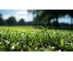 Expert Irrigation Design Services in Texas: Enhance Water Efficiency - Image 4