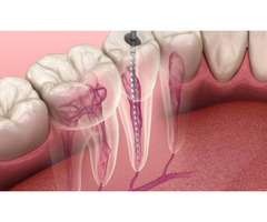 McClane Dentistry - Image 3