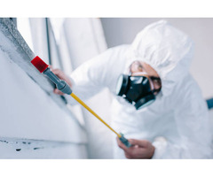 Trusted Pest Control Services in Abu Dhabi – Al Fakhamah