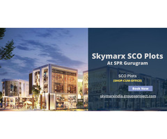 Skymarx Southern Peripheral Road Gurgaon – Nest for Success