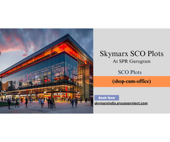 Skymarx Southern Peripheral Road Gurgaon – Nest for Success - Image 2