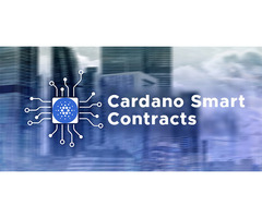 Cardano Smart Contracts - Netset Software