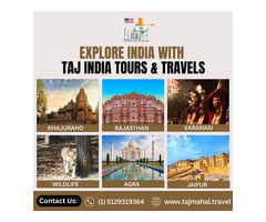 Hassle-Free Private India Tours from Texas – Limited Seats, Book Now!