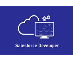 Looking Experienced Salesforce Developers in Salem