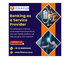 Banking as a Service Provider