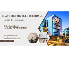 Shapoorji Joyville The Dualis Gurgaon: Sustainable Design Philosophy - Image 4