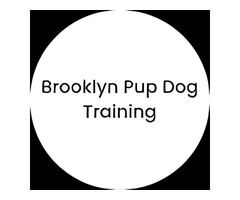 Brooklyn Pup Dog Training