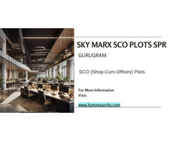 Sky Marx SCO Plots: The Future of Commercial Development in Gurugram - Image 3